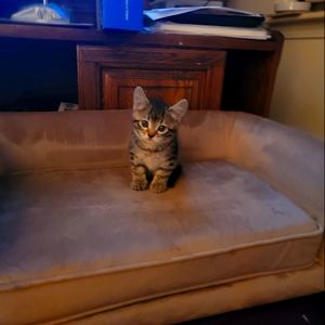 Meet your Posher, Cj